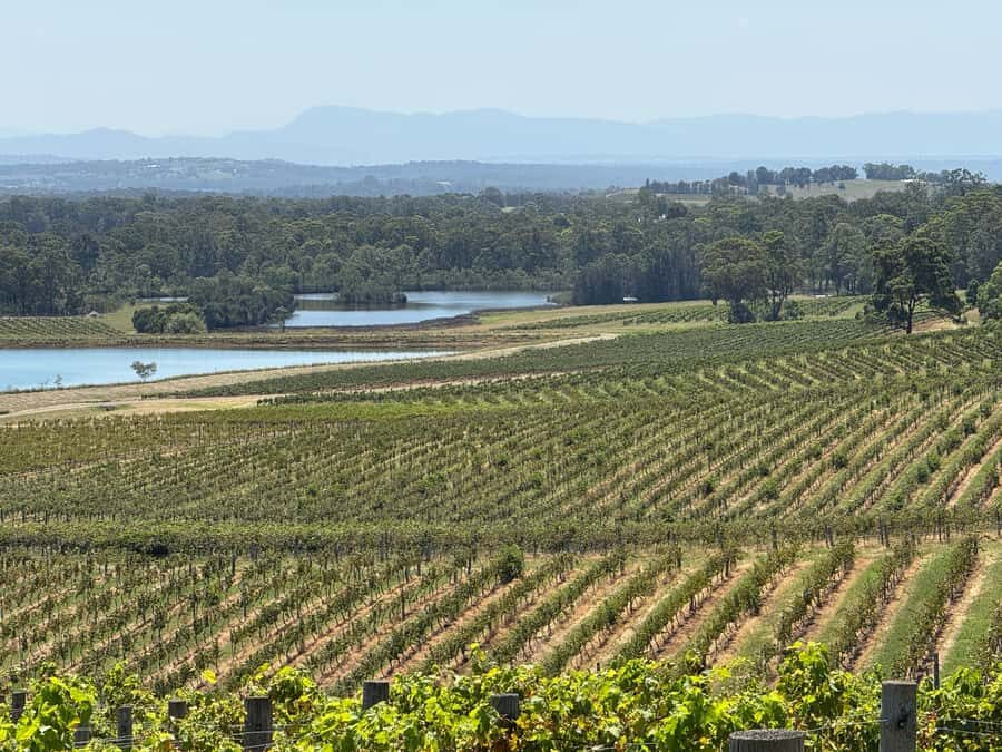 Hunter Valley Wine Tasting | Private Day Tour | From Sydney - The Experience from Reviews