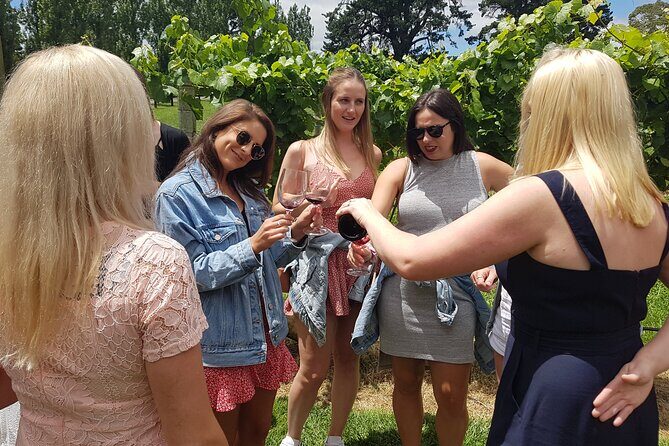 Hunter Valley Wine Tour + Lunch, Gin, Cheese, Choc from Newcastle - Who Will Love This Tour?