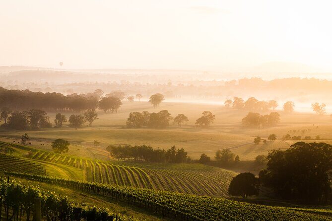 Hunter Valley Winery - Premium Tasting for Private Tours - Who Will Love This Tour?