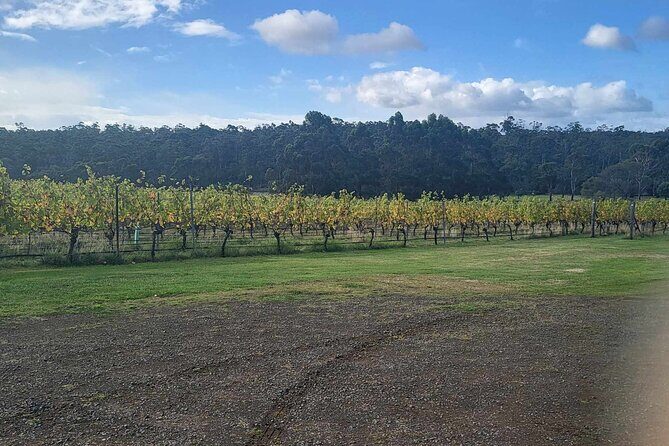 Huon Valley Wine and Cider Tour - Hobart and SE Tasmania - What Reviewers Say
