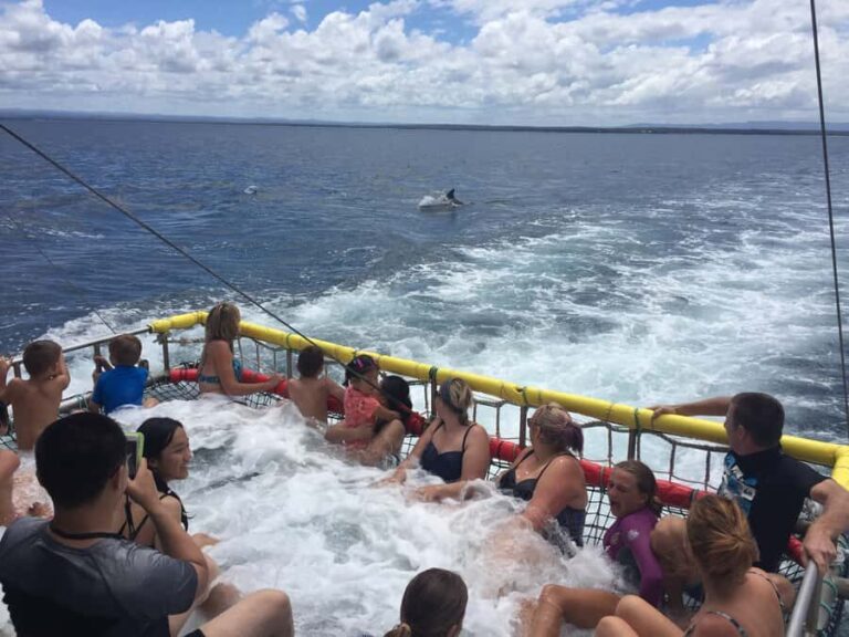 Huskisson: Dolphin Cruise & Boom Netting Experience - Why This Tour Is Worth Considering