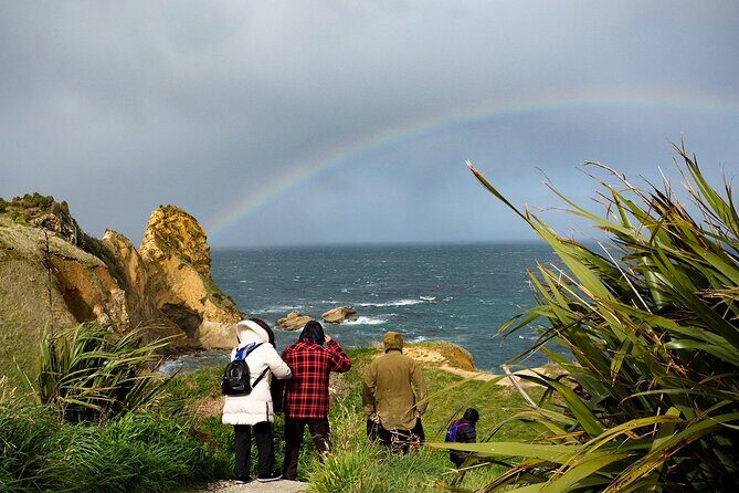 Iconic Dunedin Coastal Tour by Minibus with Maori Cultural Walk - Practical Details: Transportation, Group Size, and Timing