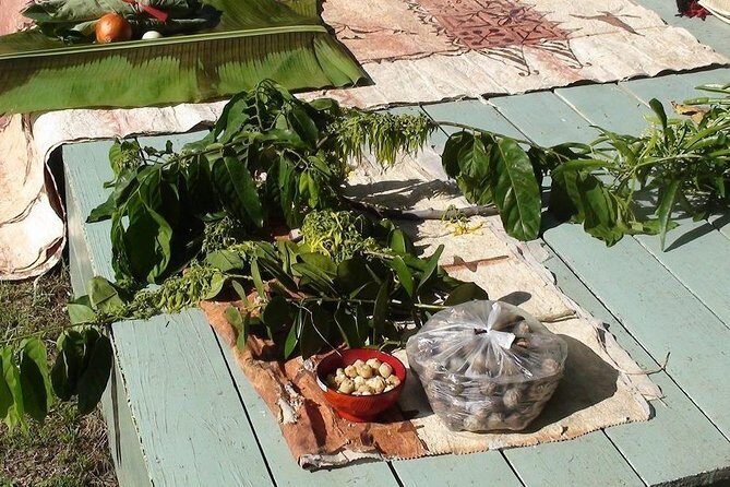 'Ilaheva Private Museum Tour with Tongan Medicine & Tongan Beauty Product - Why Choose This Tour?