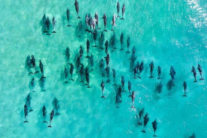 Inner Reef Explorer - 30 minute Reef Scenic Flight - Deep Dive into the Itinerary