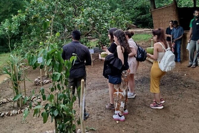 Interactive Cinnamon and Spices Experience at Warala Watta Farm - Who Will Enjoy This Tour?