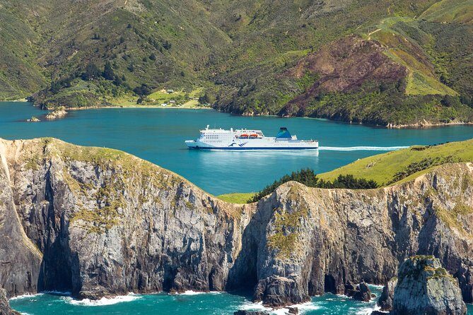 InterIslander Ferry - Picton to Wellington - What the Reviews Reveal