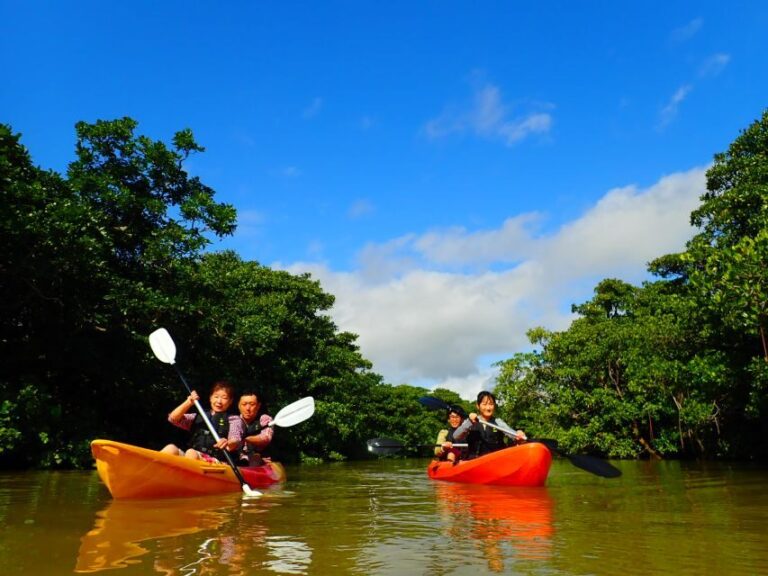 Ishigaki Island: 2-Hour Miyara River SUP or Canoeing Tour - The Value of the Tour: Price, Quality, and Authentic Experience