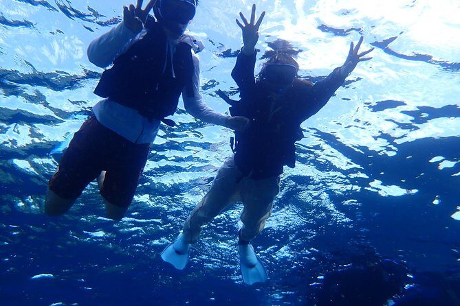Ishigaki Phantom Island Snorkeling Taketomi Island Sightseeing - What to Expect at Phantom Island
