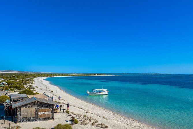 Island Life Adventures | A Day at Dirk - What to Expect and Why It Matters