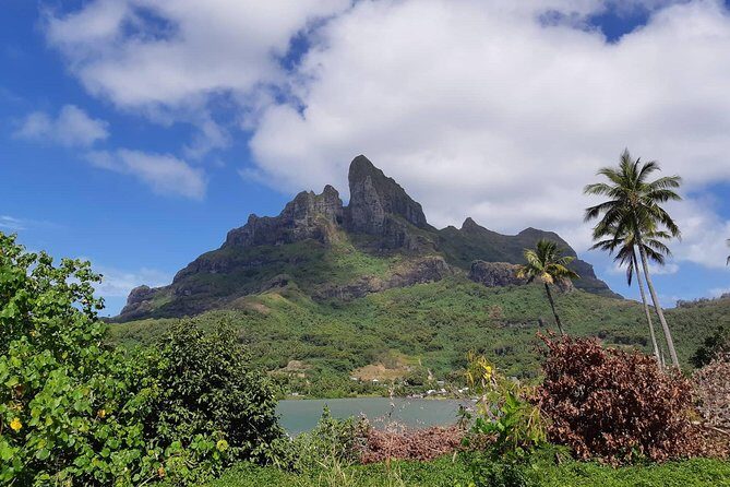 Island Tour & Getaway on the Bora Bora Mountains by Quad / ATV - The Value and Cost