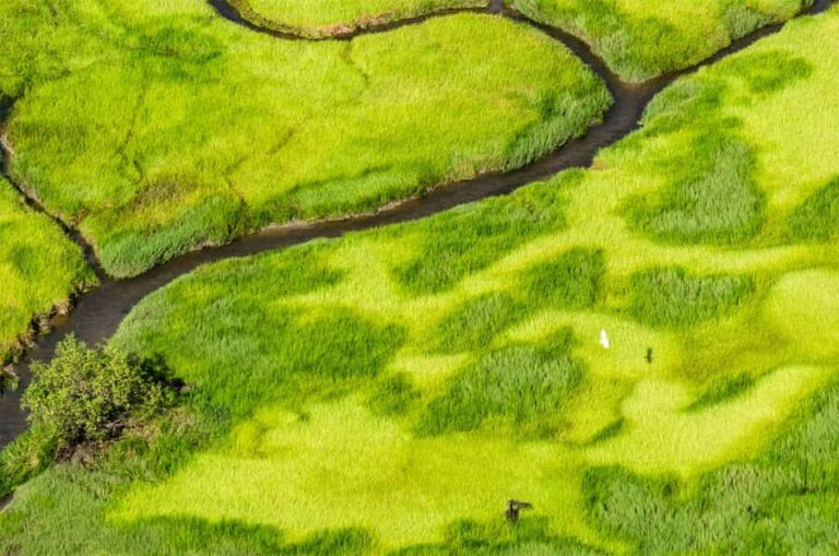 Jabiru: Guided Flight over Kakadu National Park - The Itinerary and What You’ll See