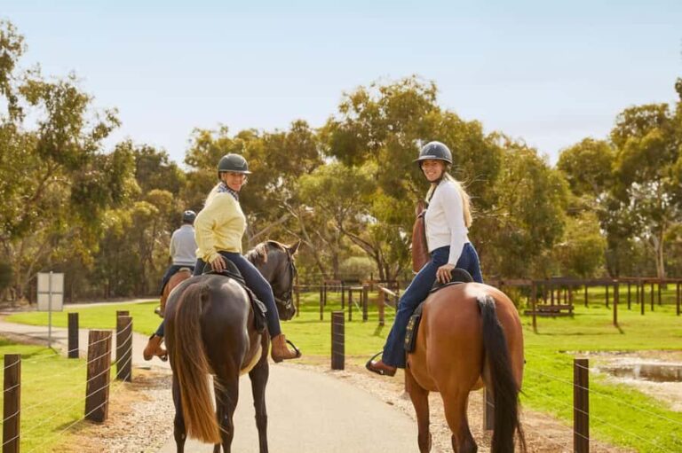Jacobs Creek Vineyard Horse Ride and Tasting - Additional Details to Consider