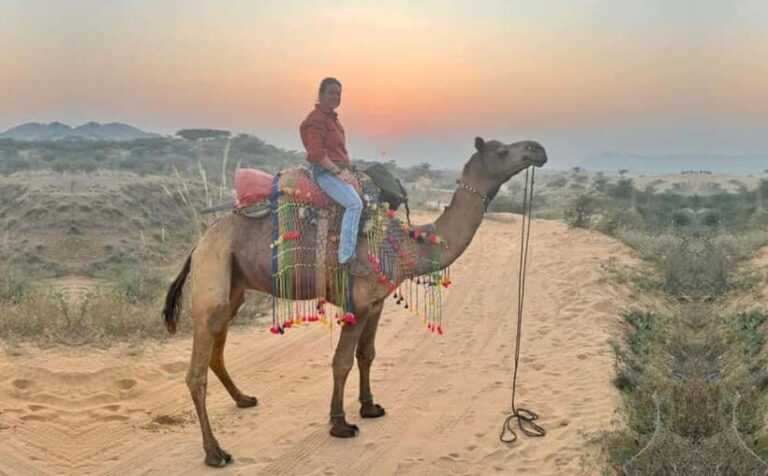 Jaipur: Pushkar Day Trip with Optional Camel Safari - What’s Included and What’s Not