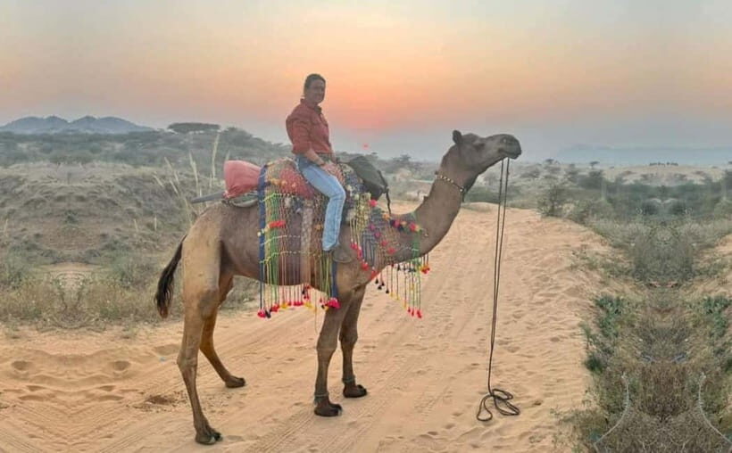Jaipur: Pushkar Day Trip with Optional Camel Safari - What’s Included and What’s Not