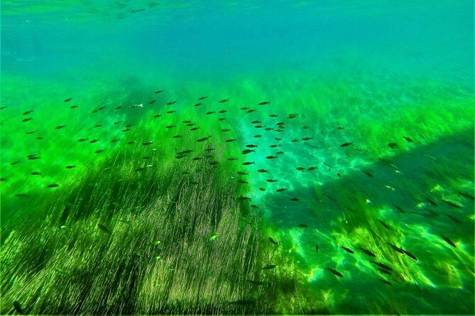 Japan's No. 1 Water Quality National Lake Shikotsu, Hokkaido's first landing clear kayak tour difficulty level (medium) - Who Will Love This Tour?
