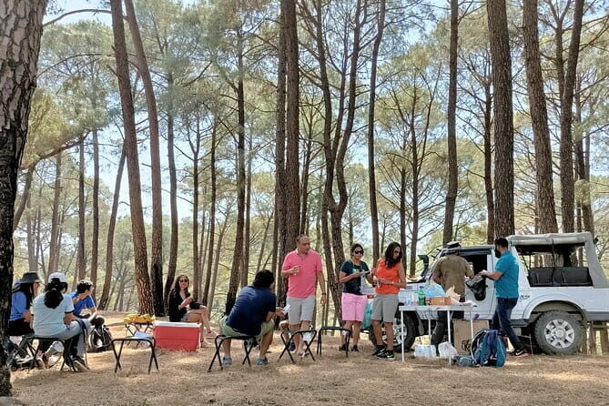 Jeep Safari and Picnic Tour - The Experience in Detail
