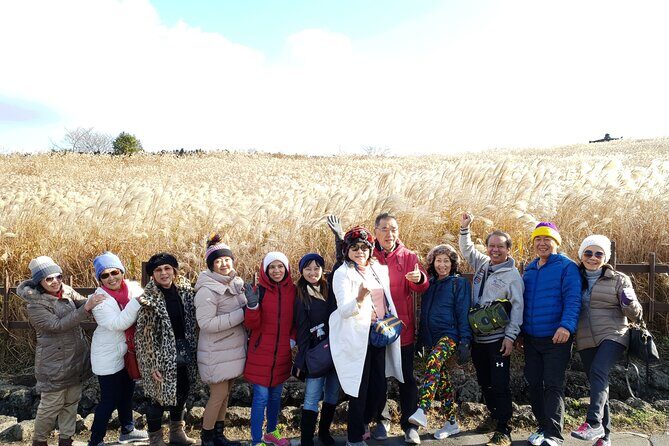 Jeju bus tour with professional English guide for cruise customer - What Travelers Say