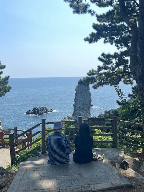 Jeju: Highlight Customized Private tour with Expert Guide - The Highlights: What Youll Experience