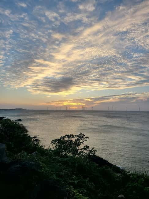 Jeju Island: Hallasan Mountain Winter Scenery Guided Tour - Who Will Love This Tour?