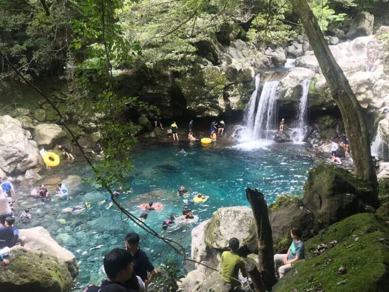 Jeju island: Van tour with a guide who the most loves JEJU - A Deep Dive into the Experience