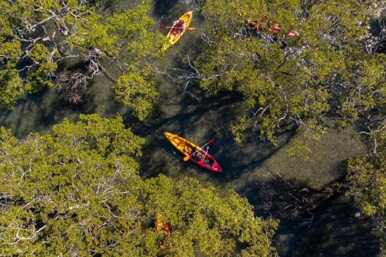 Jervis Bay: Currambene Creek Kayak Tour with Guide - What Makes This Kayak Tour Special?