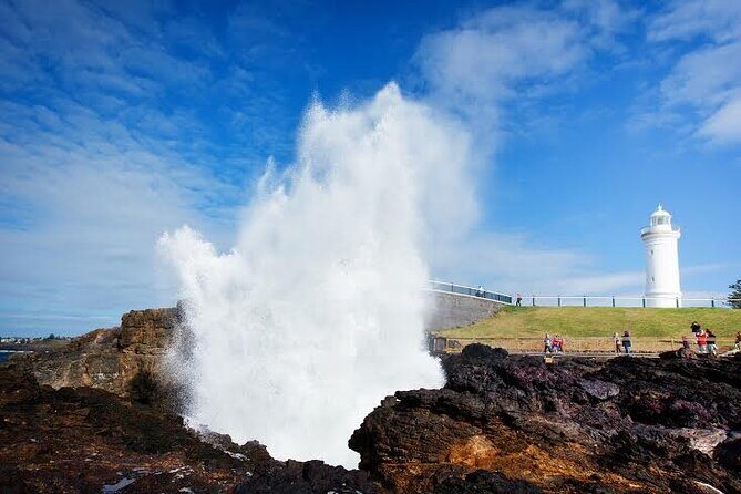 Jervis Bay Full Day Tour Dolphin Cruise and Kiama Blowhole - Transportation and Group Size