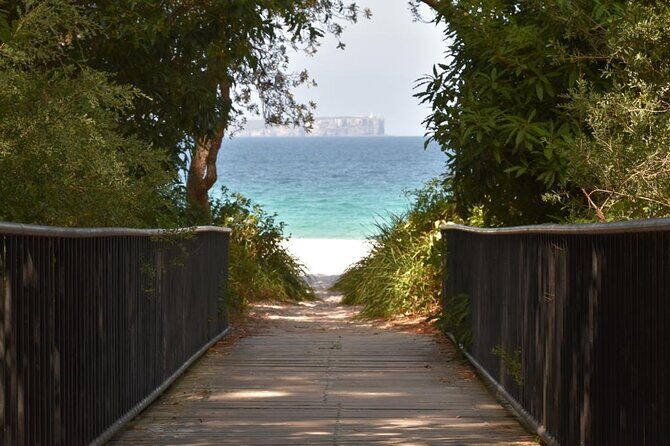 Jervis Bay Tour with Dolphins, Kangaroos & World's Whitest Beach - What We Think About the Value
