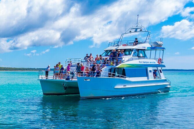 Jervis Bay Whale Watching Tour - The Cost and Its Value