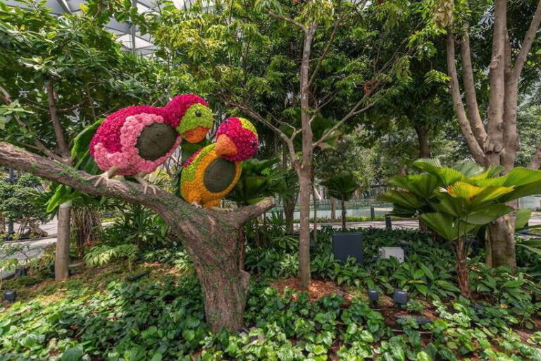 Jewel Changi Airport: Sky Nets Admission Ticket - What to Expect at Jewel Changi Sky Nets
