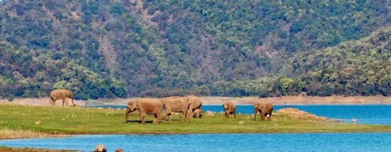 Jim Corbett: 3-Day Safari Tour by Flight from Hyderabad - What Makes This Tour Stand Out?