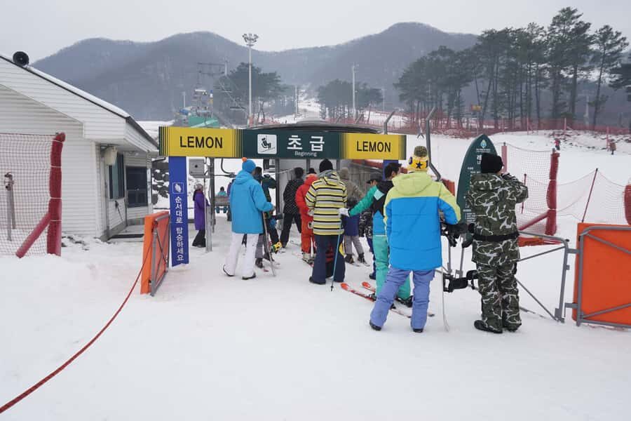 Jisan Forest Resort: Ski Full-Day Tour or Shuttle from Seoul - What to Expect During Your Day at Jisan Forest Resort