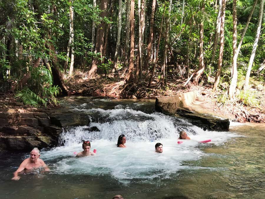 Jumping Croc Cruise, Berry Springs,Fogg Dam & Humpty Doo Pub - The Sum Up