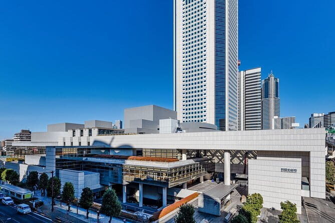 KABUKI performance by National Theatre in Hatsudai, Tokyo - Who Should Consider This Tour?