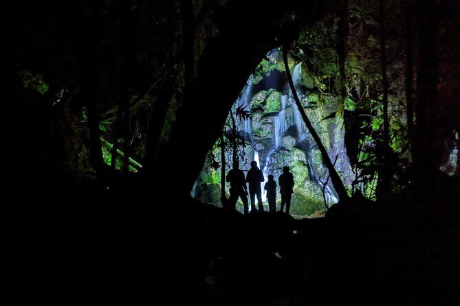 Kahukiwi Experiences Luxury 4WD 3hour Guided Maori Tour - What Travelers Say