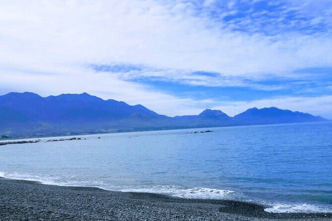 Kaikoura Day Trip including Whale Watch from Christchurch - Who Will Love This Tour?