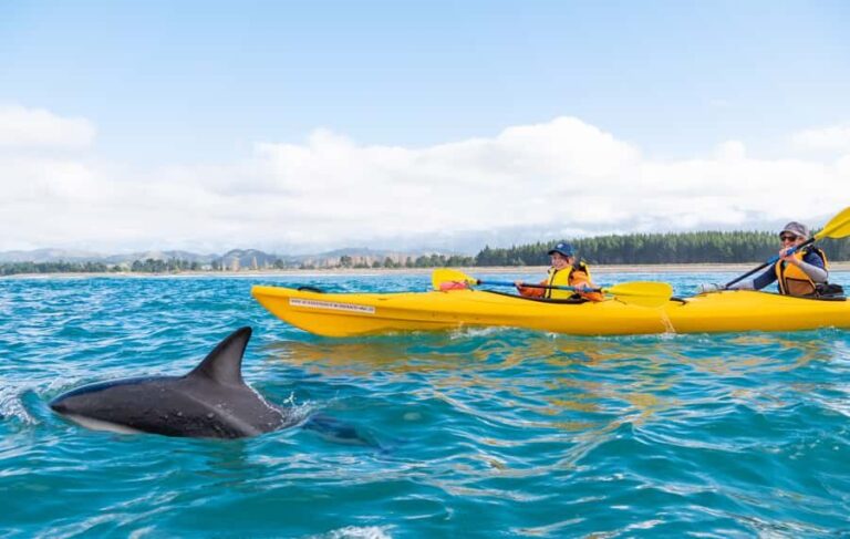 Kaikoura: Guided Family Kayaking Adventure - The Practicalities