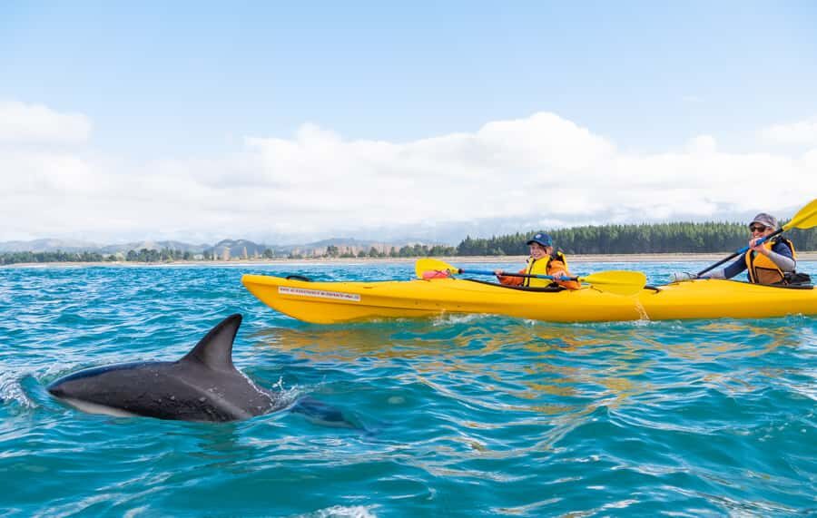 Kaikoura: Guided Family Kayaking Adventure - The Practicalities
