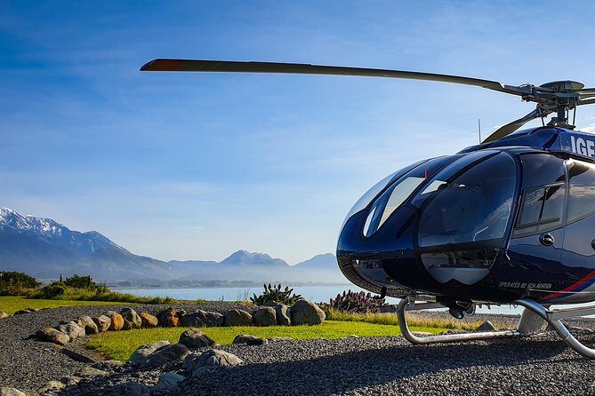Kaikoura Helicopters Classic Whale Watch - What to Expect During the Tour