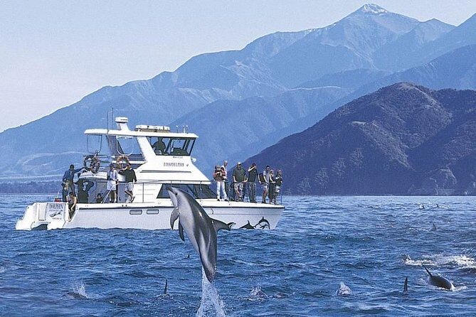 Kaikoura Swim with Dolphins Tour from Christchurch - Authentic Experiences & Real Reviews
