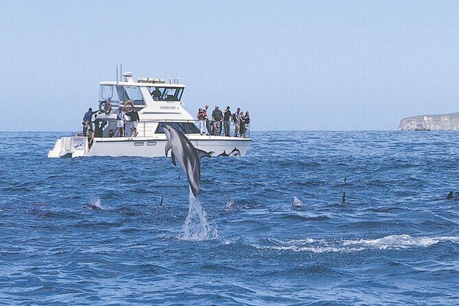 Kaikoura Whale and Dolphin Overnight Tour from Christchurch - What’s Included and What’s Not