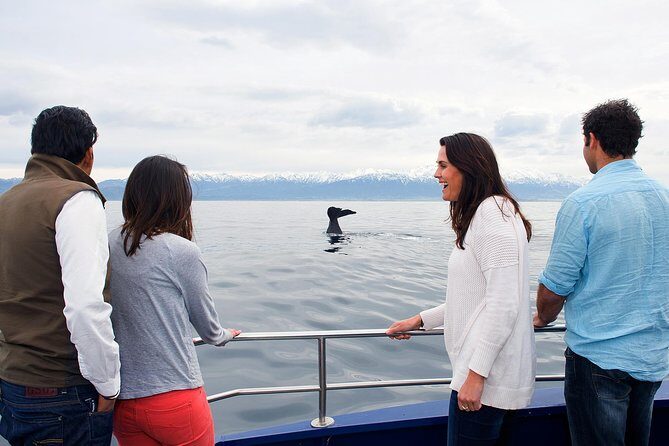 Kaikoura Whale Watch Day Tour from Christchurch - Detailed Breakdown of the Experience
