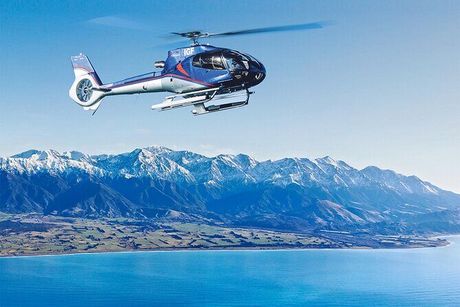 Kaikoura Whales - What Does the Tour Include?