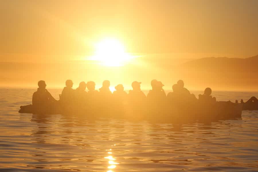 Kaikura: Kayak Sunset Tour with Seal Sightings - An Overview of the Experience