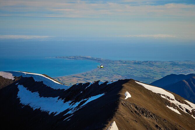 Kaikura Whale Watching and Scenic Landing - 1hr Premier Tour - The Itinerary: What to Expect