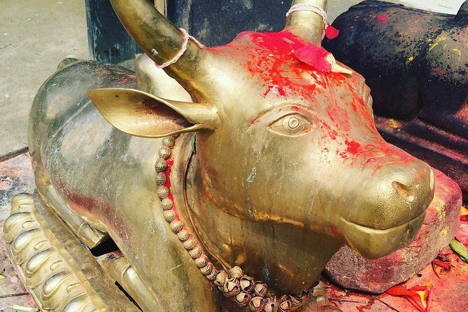 Kailashnath Doleshwor Mahadev Tour In Kathmandu - Analyzing the Value