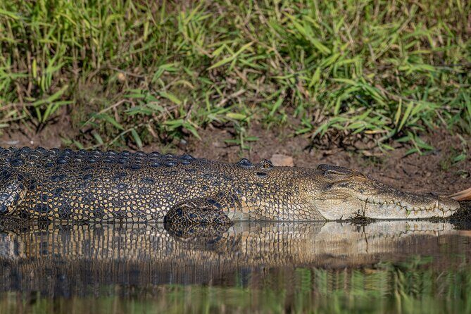 Kakadu National Park Evening Tour + Yellow Water Sunset Cruise - Authentic Experiences and Passions Revealed