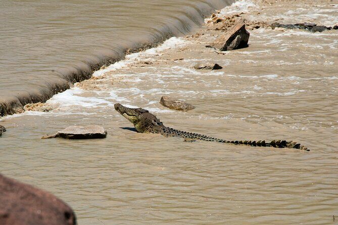 Kakadu National Park Full Day Tour + 2 Hour Cultural River Cruise - Who Will Love This Tour?