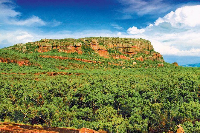 Kakadu, Nourlangie and Yellow Waters Tour from Darwin - Who Will Love This Tour?