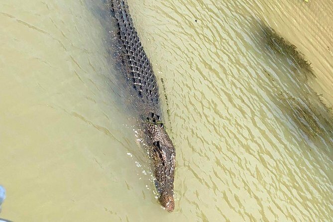 Kakadu Yellow Waters Cruise & Katherine Gorge Helicopter Scenic - Why This Tour Works for Travelers