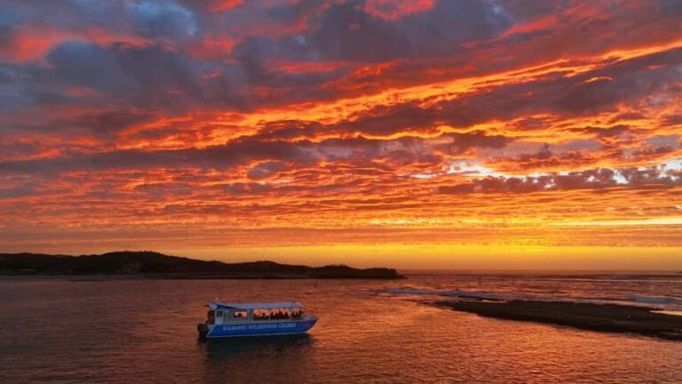 Kalbarri: Murchison River Wilderness Wildlife Cruise - The Itinerary Breakdown